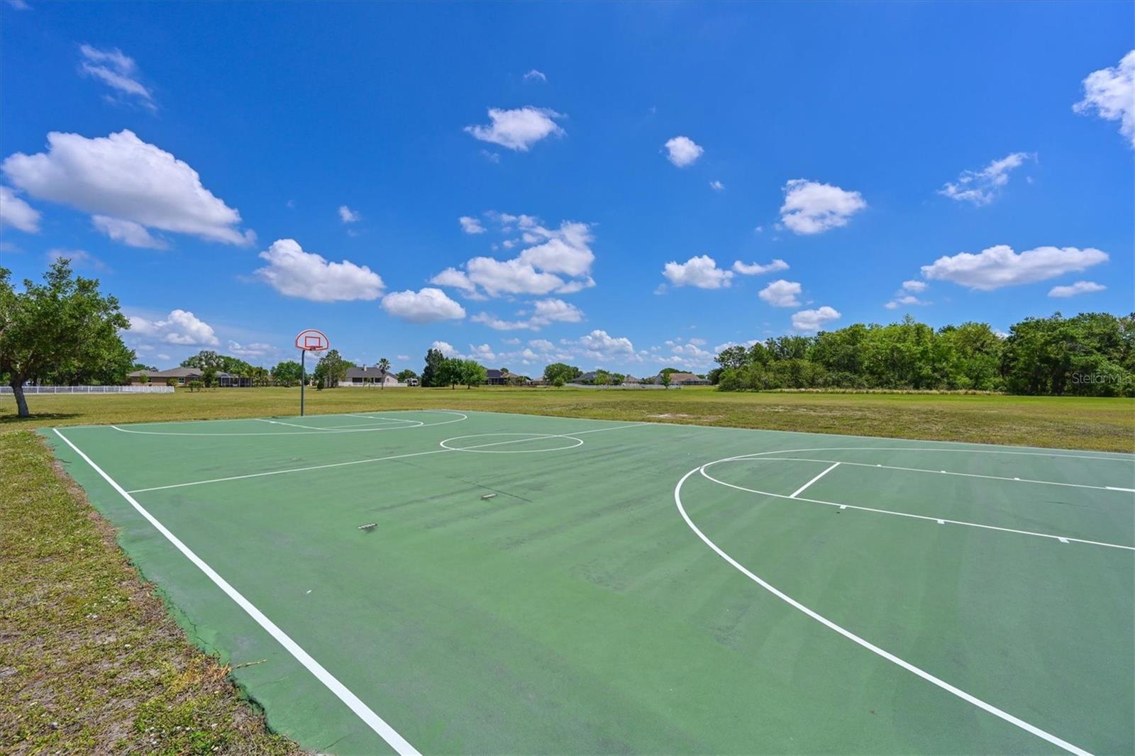 4412 Wolf Ridge Xing