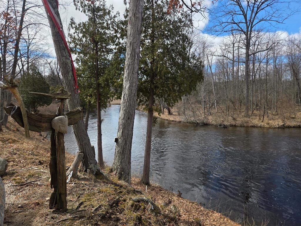 GORGEOUS, One of a kind property. 44 acres with approximately 1/2 mile of frontage on the Chippewa River in Central Michigan. Ideal building site or development property. Located in Deerfield Twp. Isabella County, Michigan. This property is on a paved road, 10 minutes from Mt Pleasant and Central Michigan University. 1.5 hours North of both Lansing and Grand Rapids. There is electricity on this property. The majority of property is high and dry. It is a mix of both hardwood and softwood trees. Some information about the Chippewa River, it flows for 91.8 miles through the central Lower Peninsula. The river stream runs through a mix of woodland habitats, farm country, and residential neighborhoods including cities, townships and villages of Isabella County. The river is popular for canoeists, kayakers and tubers during the warm months and is home to cold water fish species and bass fishing. This property has an existing structure that has been gutted. The septic system and a water well are of unknown condition. Lot measurements are estimated. Buyer and Buyers agent to verify all information.