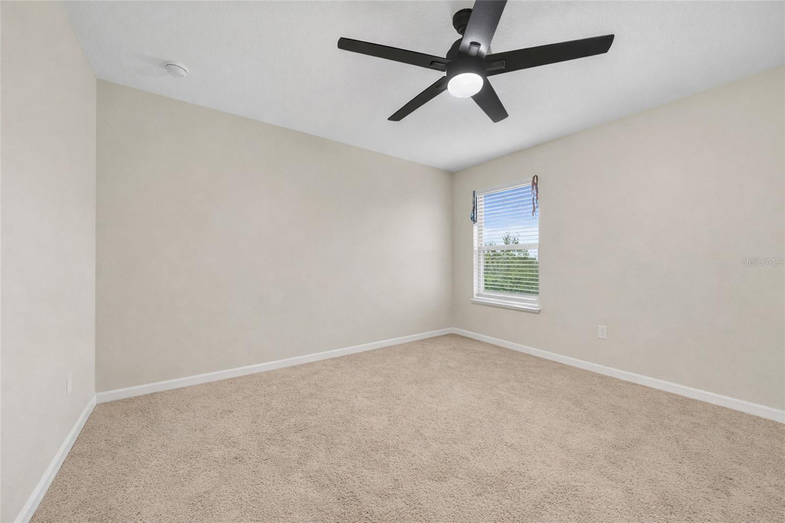 12163 Alder Branch Loop