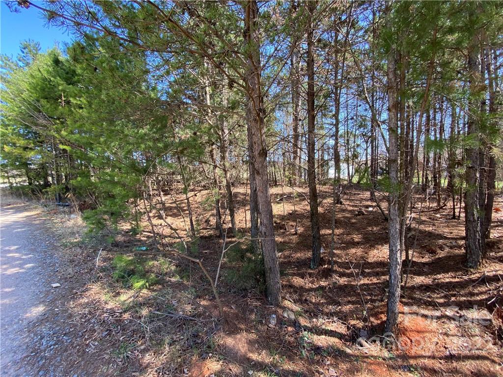 Next to 1670 Buck Oak Road