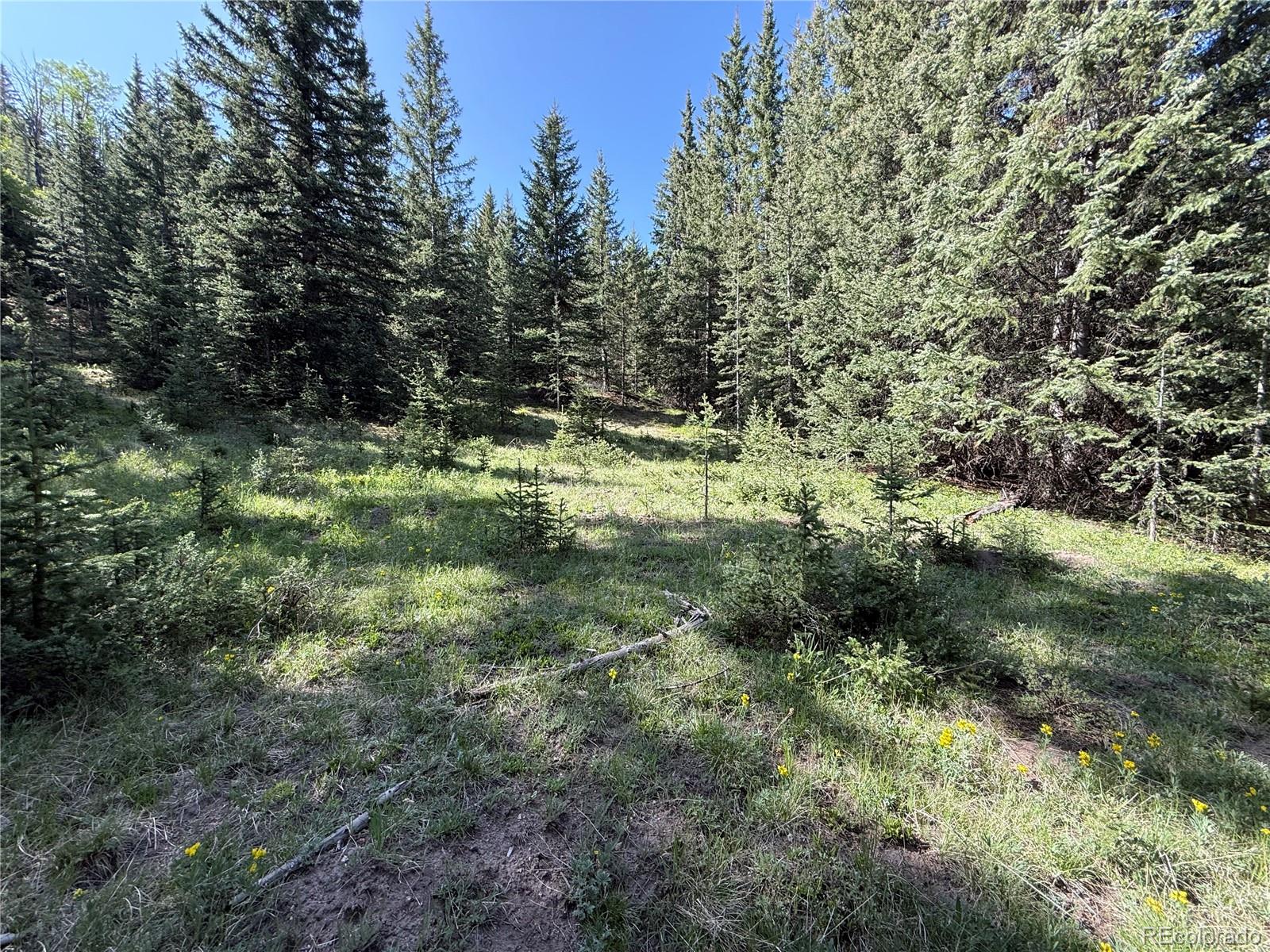 Lot 6843 Ryland Road