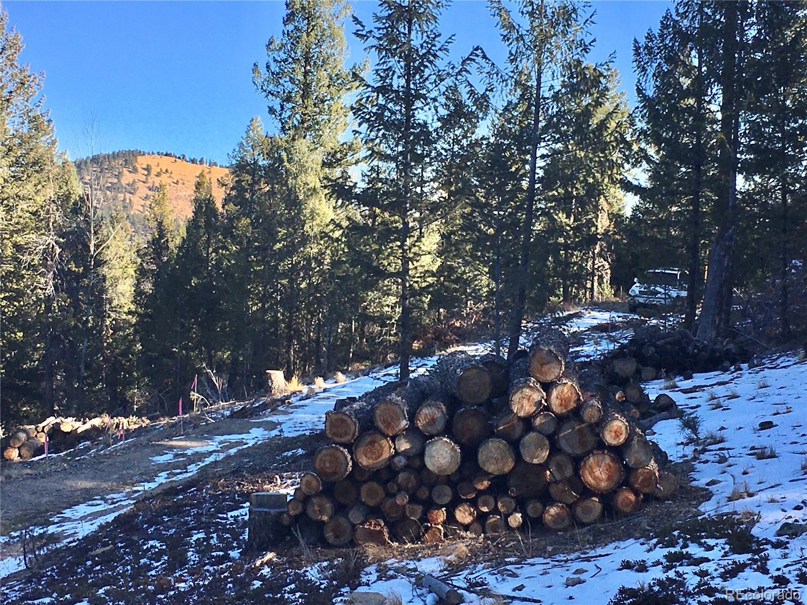 33884 Bergen View Trail