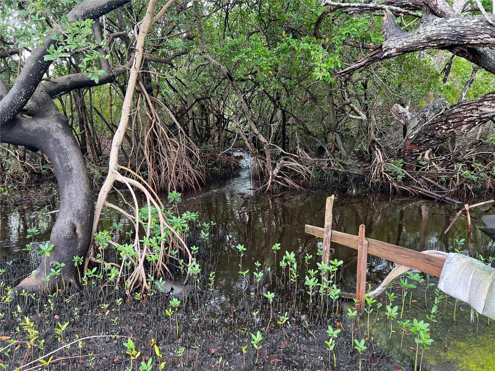 912 Piney Point Road