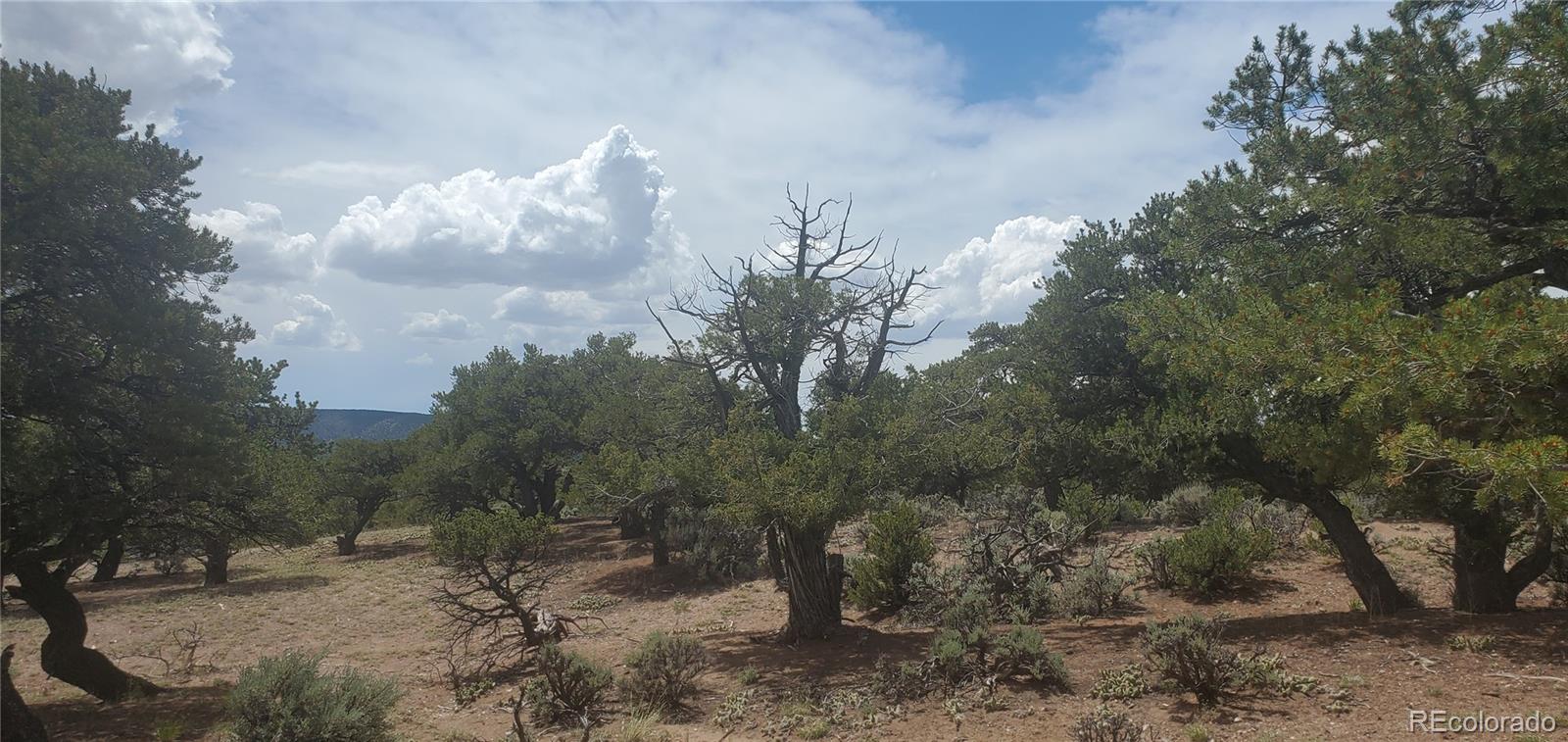 Lot3696 Branch Road