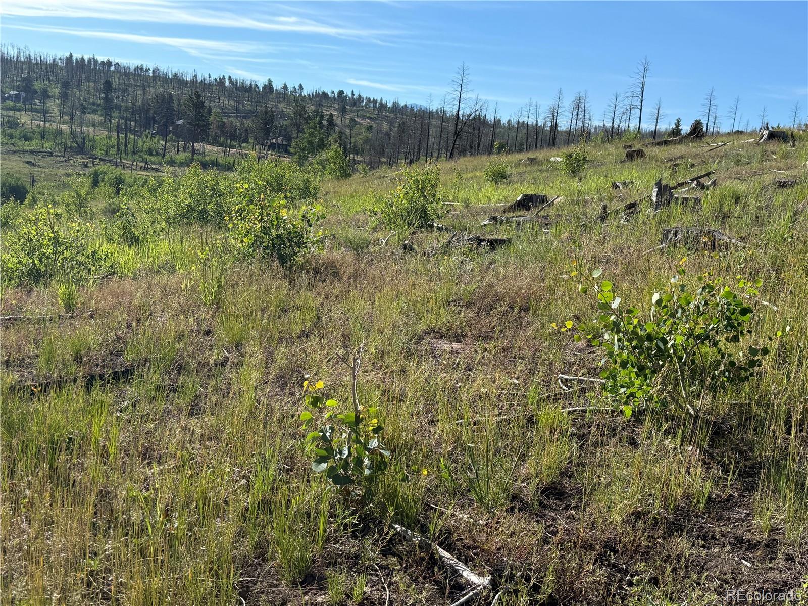 Lot 775 Forbes Park Road