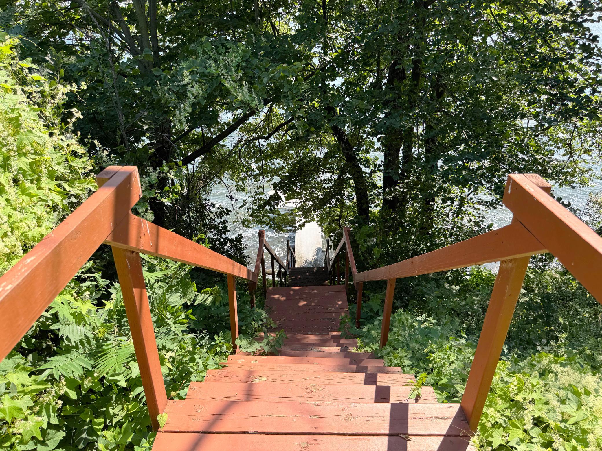 44205 Conifer Street