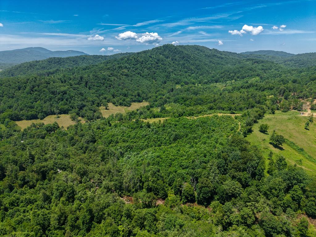 Escape to the beauty of Southwest Virginia with this exceptional 28.5-acre tract located on Clito Road in Fries, Grayson County. Featuring rolling hills, this property offers the perfect blend of privacy, natural beauty, and outstanding recreational opportunities.  Whether you're searching for a premier hunting property, a weekend retreat, or the ideal location to build your dream cabin or country home, this versatile acreage has endless potential. The wooded landscape provides excellent habitat for abundant wildlife, making it a hunter's paradise. Rolling terrain offers scenic views, multiple potential building sites, and plenty of room to explore.  Enjoy the peaceful rural setting, listening to the Knob Fork Creek on the adjoining property, while remaining within a short drive of the charming town of Fries, the New River, and nearby outdoor attractions. This property is ideal for hunting, hiking, ATV riding, camping, or simply enjoying the tranquility of nature.