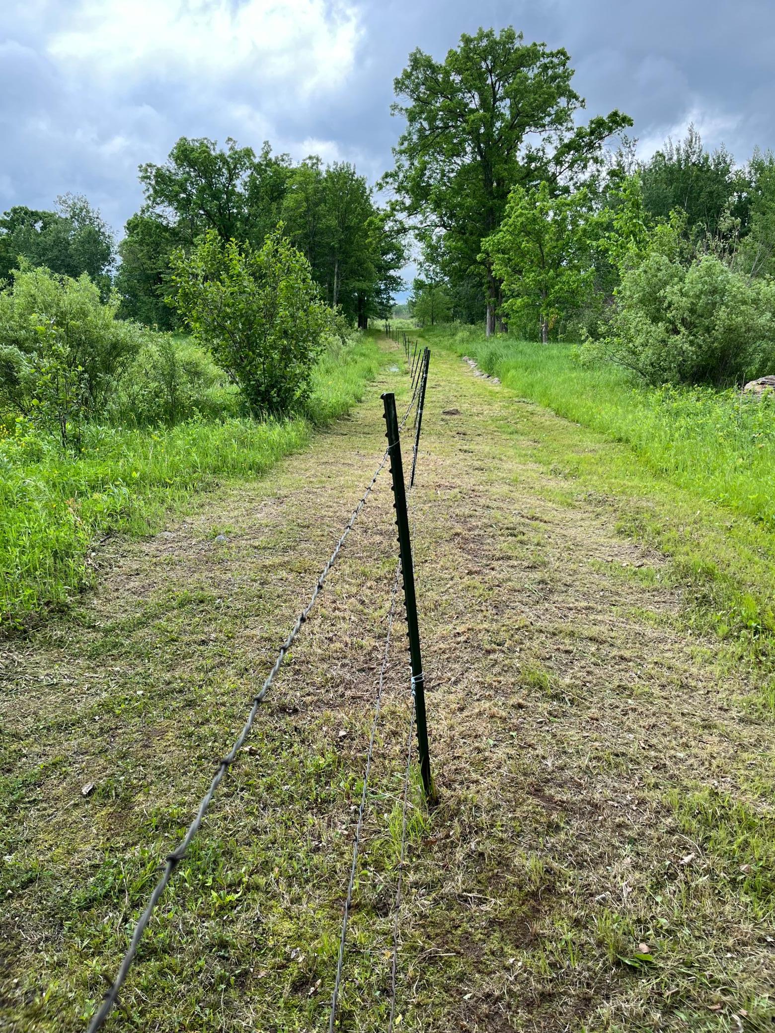 11XXX State Highway 65