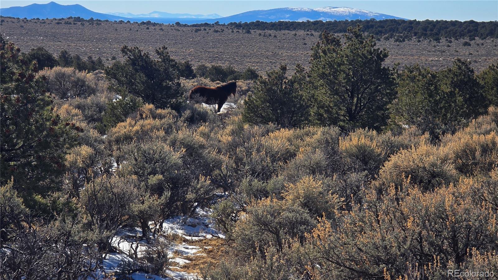 Lot 6 Elk Park Road