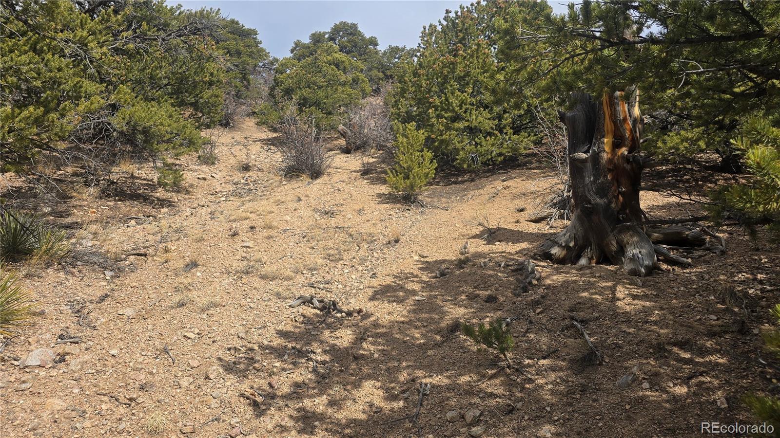 Lot 1628 Hidalgo Road
