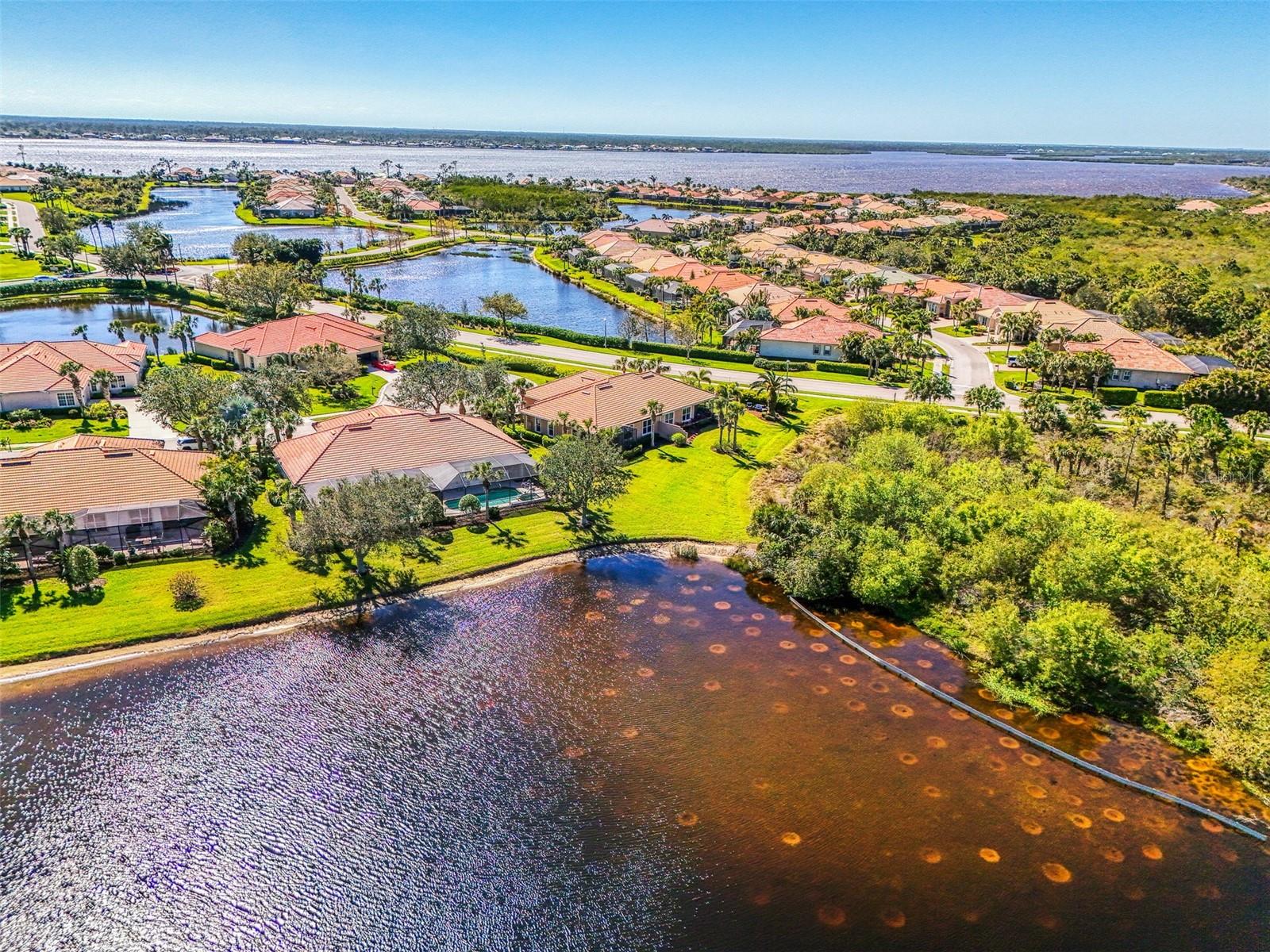 2625 Wax Myrtle