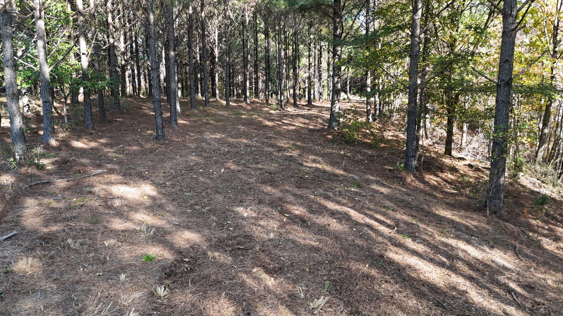 191 Vista Dr