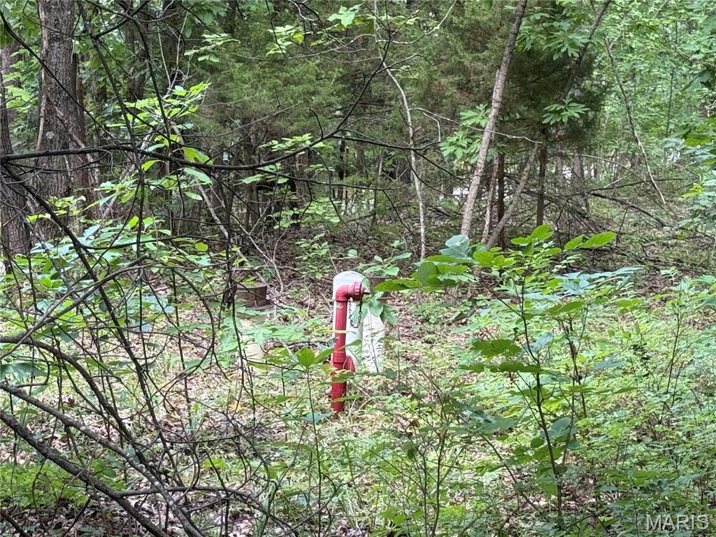 40 Brush Creek Road
