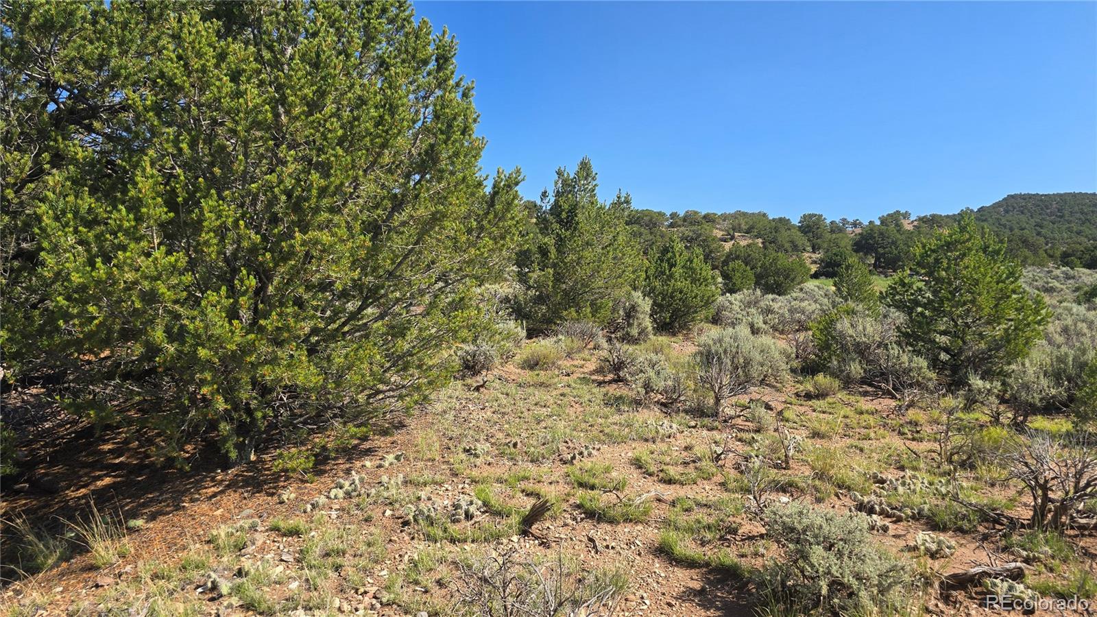 Lot 4296 Renfield Road