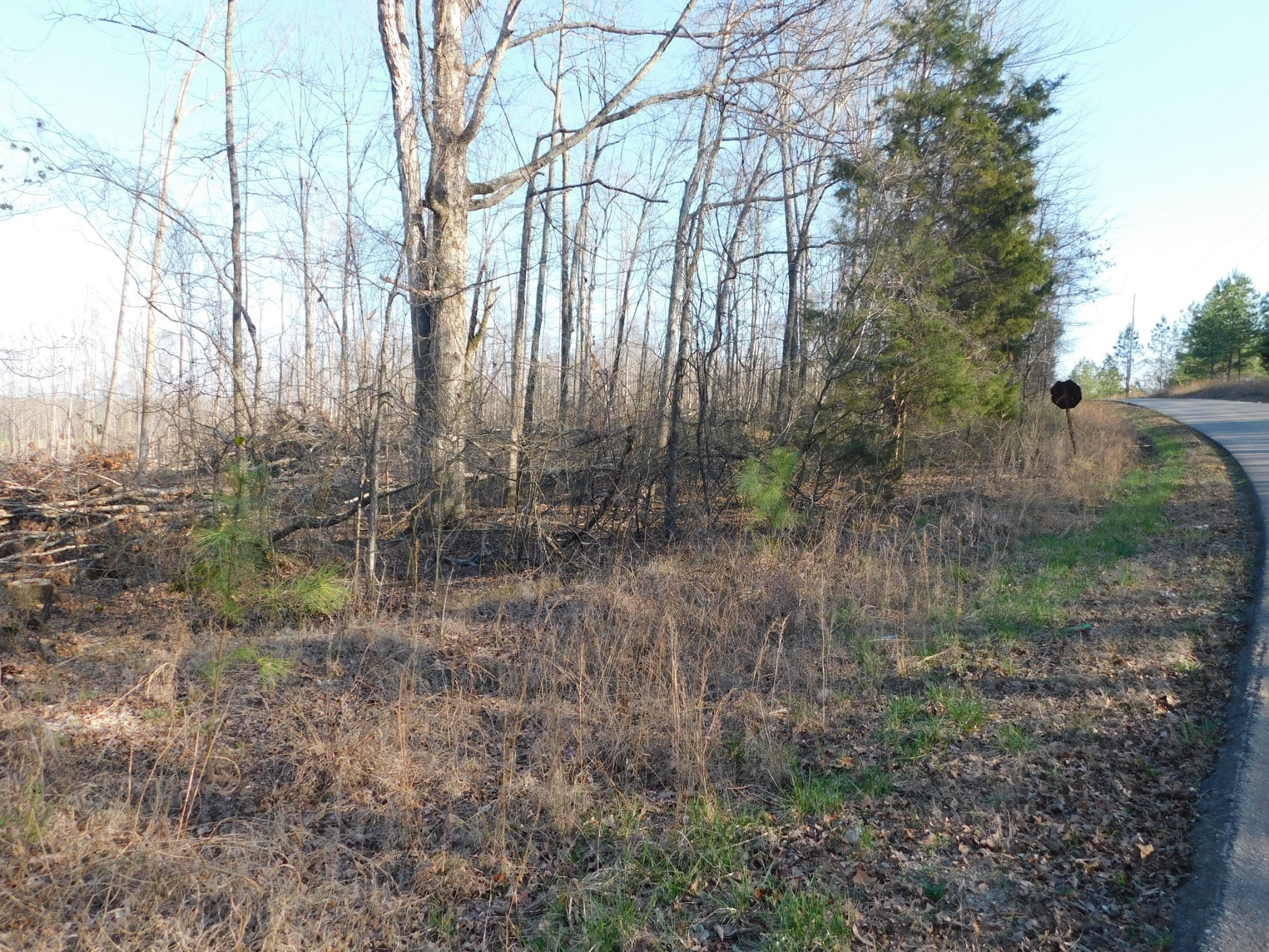 0 Lucas Ridge Road