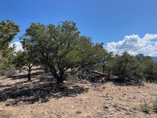 Lot 3306 Fontaine