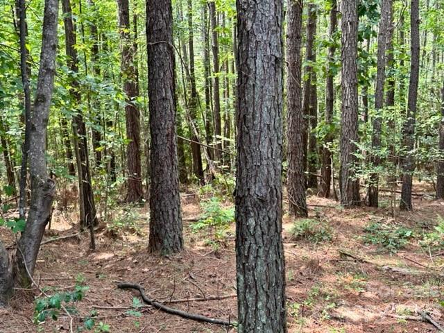 100 Shortoff Trail NW