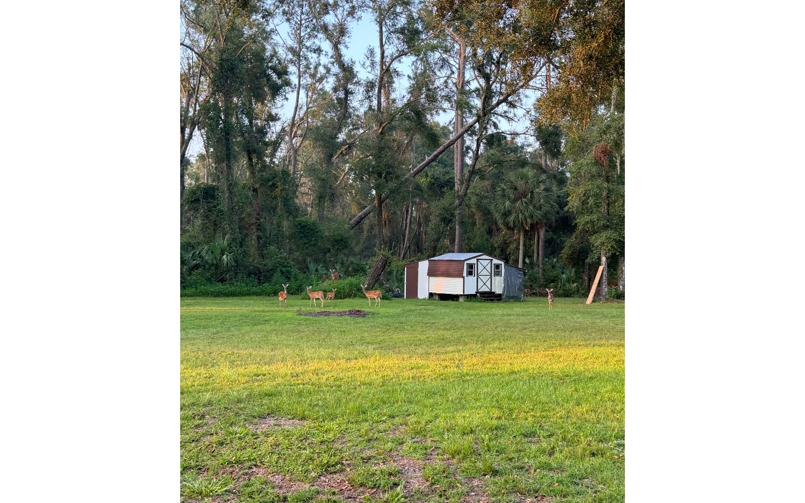 939 NW Banta Acres Rd