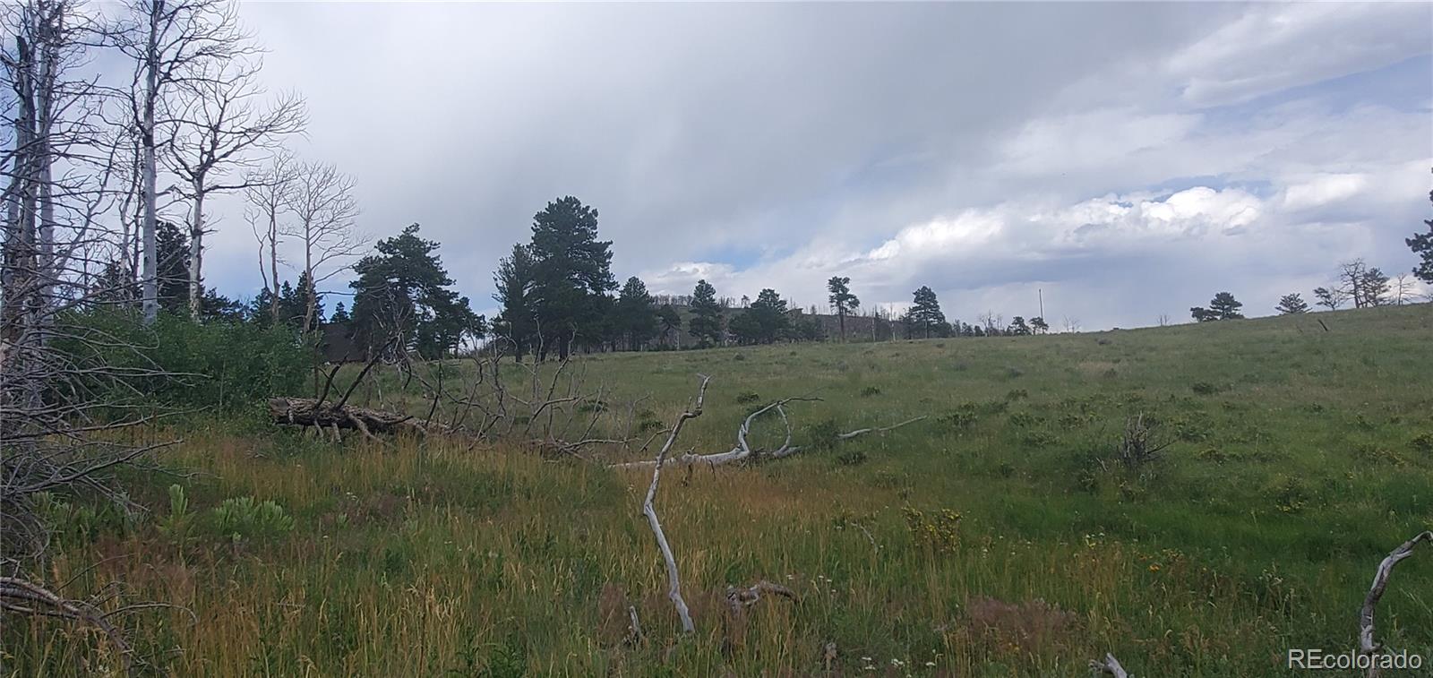 Lot 1720 Fitts Place