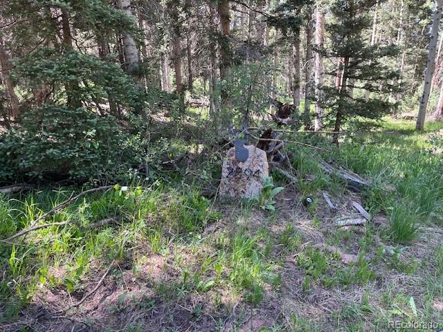 Lot 2684 Coder Place