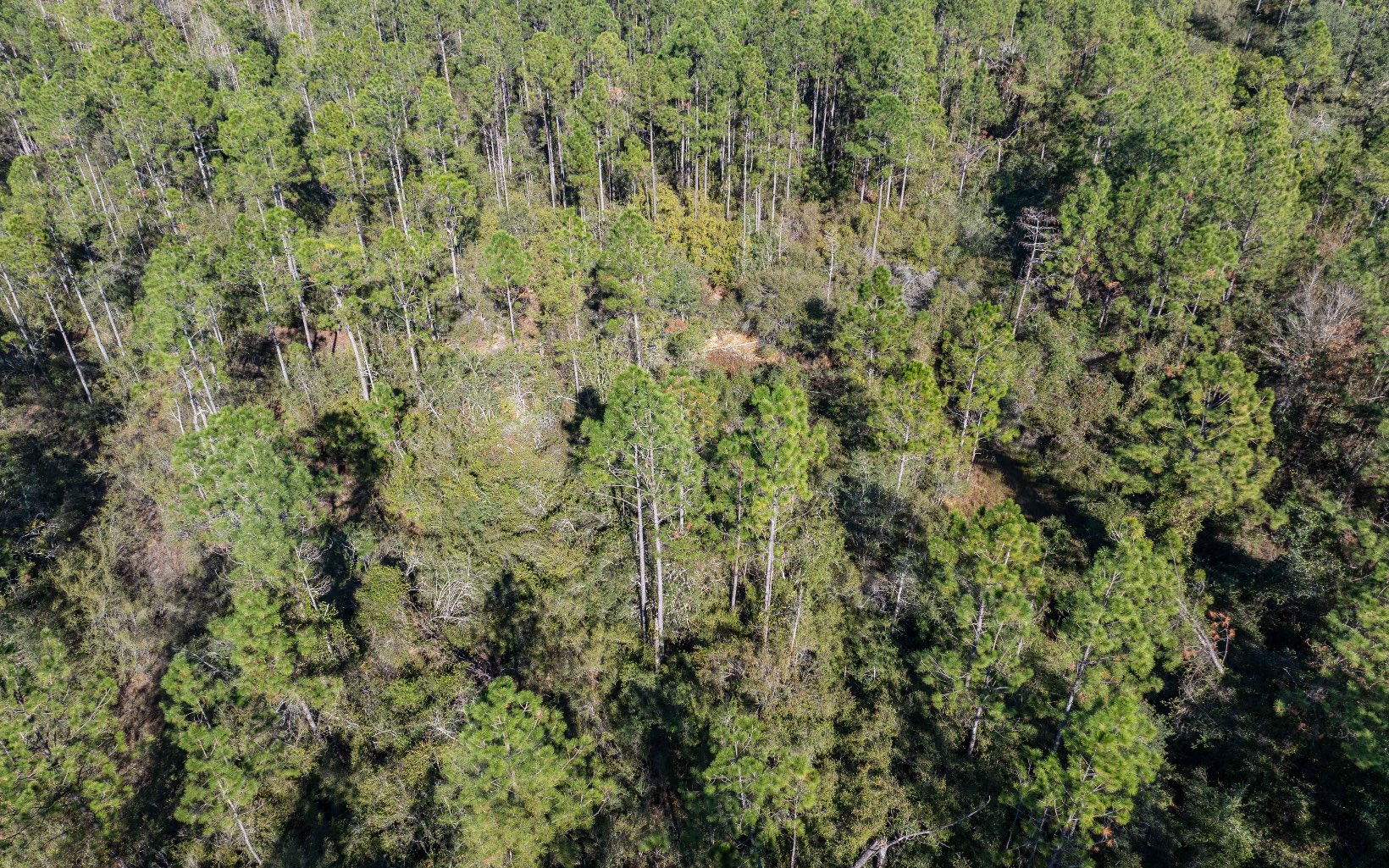 1032 SW Van Buren Rd