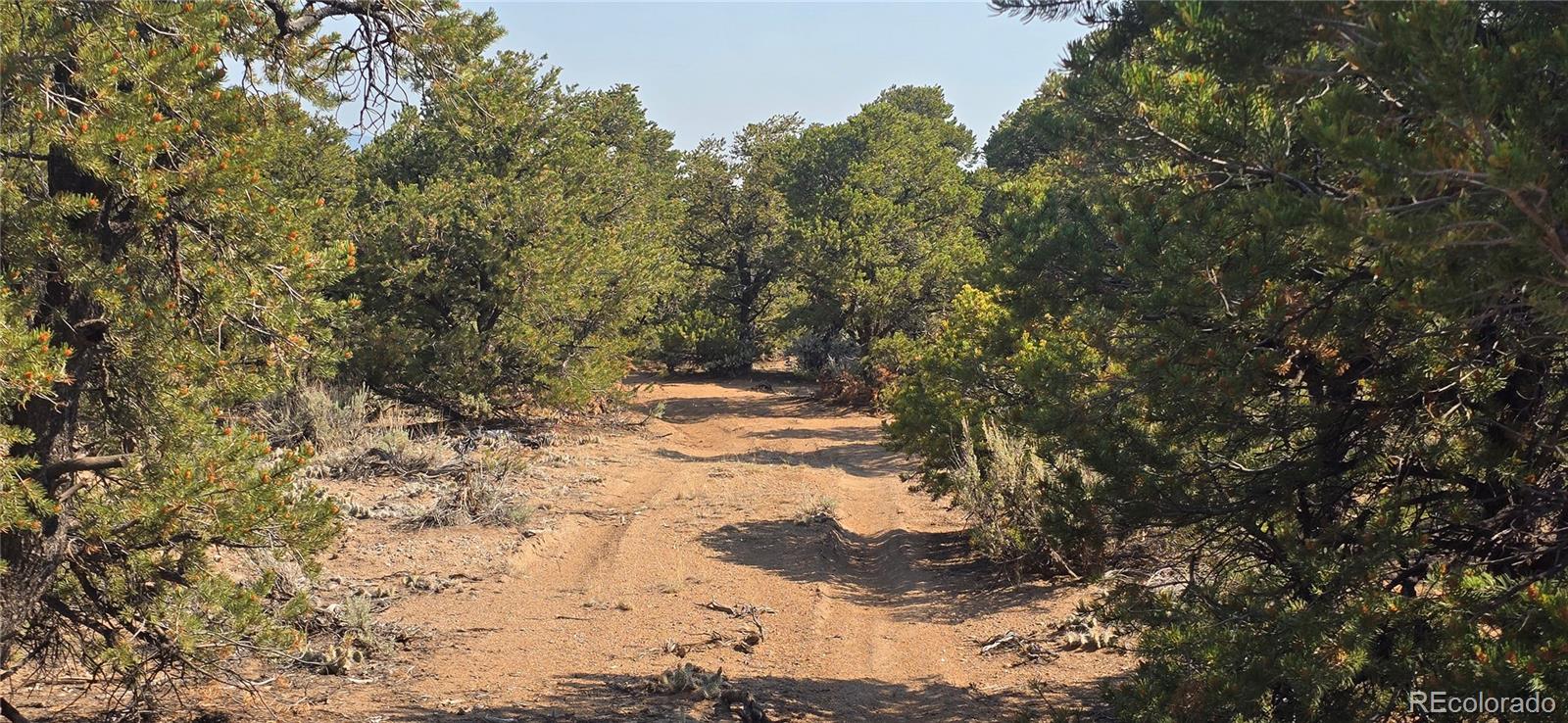 Lot 1659 Slegers Circle