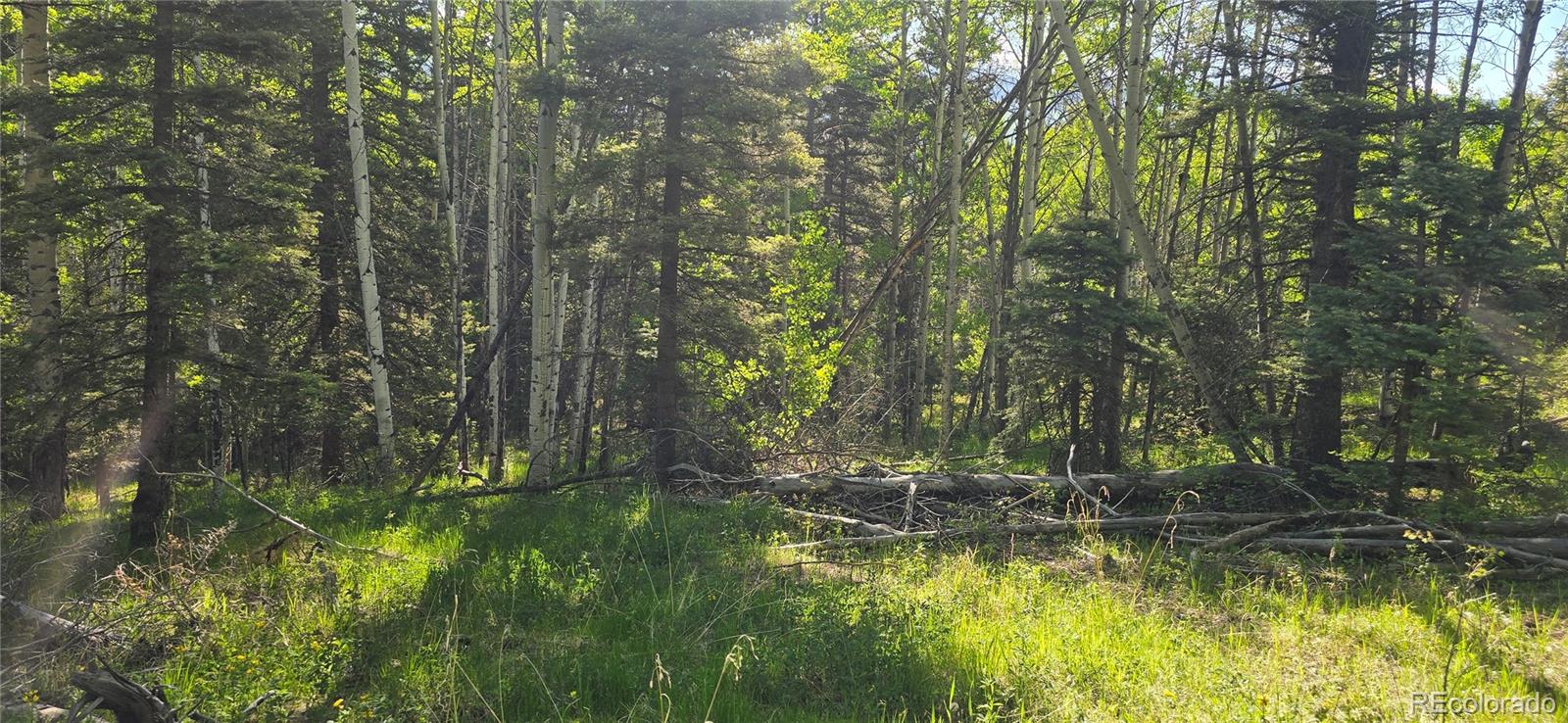 Lot 6385 Jaquez Road