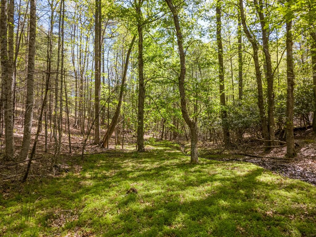A neat 5.00-acre lot that is ready for your dream home. Property is located in the beautiful Ferncrest subdivison and offers a peaceful setting with plenty of space to build. This property provides the perfect blend of privacy and convenience and would be ideal for a custom home or weekend retreat with ample room for outdoor living with plenty of wildlife. A great opportunity to enjoy country living in a desirable location. Great location between Galax & Independence and only minutes to the New River & New River Trail