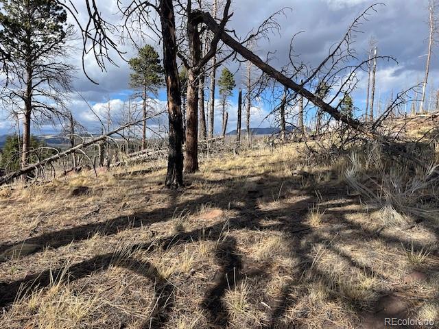 Lot 1020 & 1021 Hassan Lane