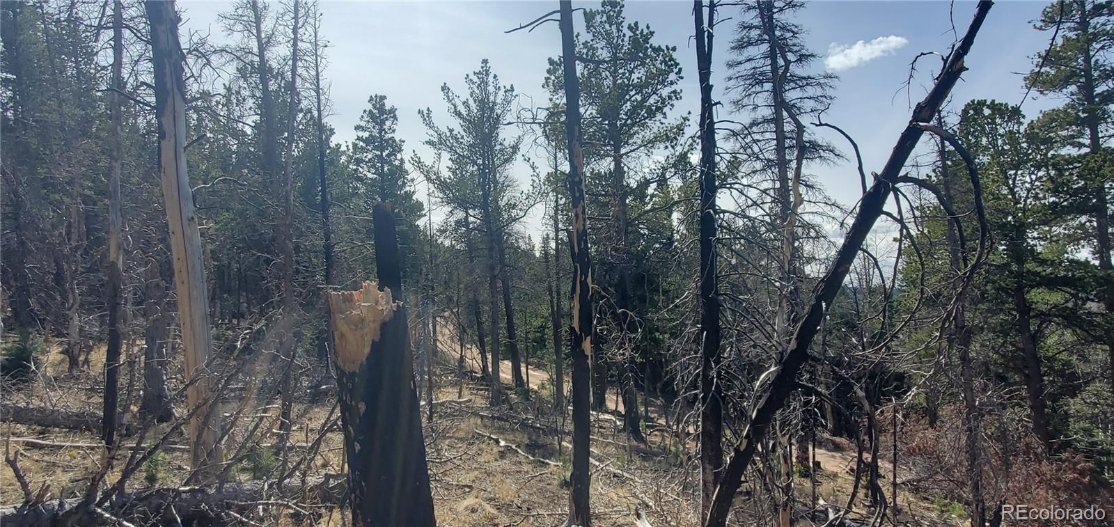Lot 2560 Grojean Drive