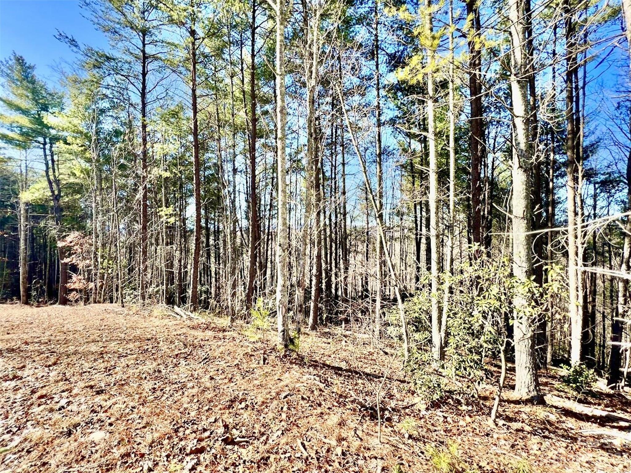 10.23 acres, 4894 White Oak Way Lot 854