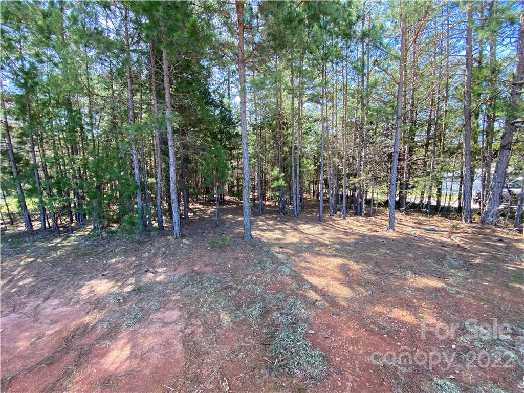 Next to 1670 Buck Oak Road