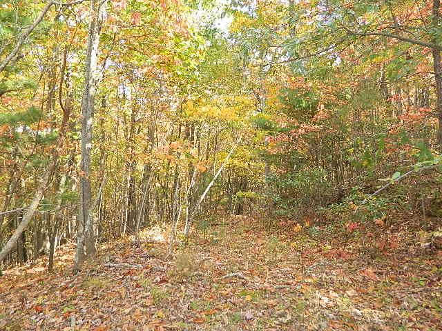View this first time offering for this wooded 2.19 acre lot since the auction in 1995. Wooded and private. Driveway entrance with drain tile in place.