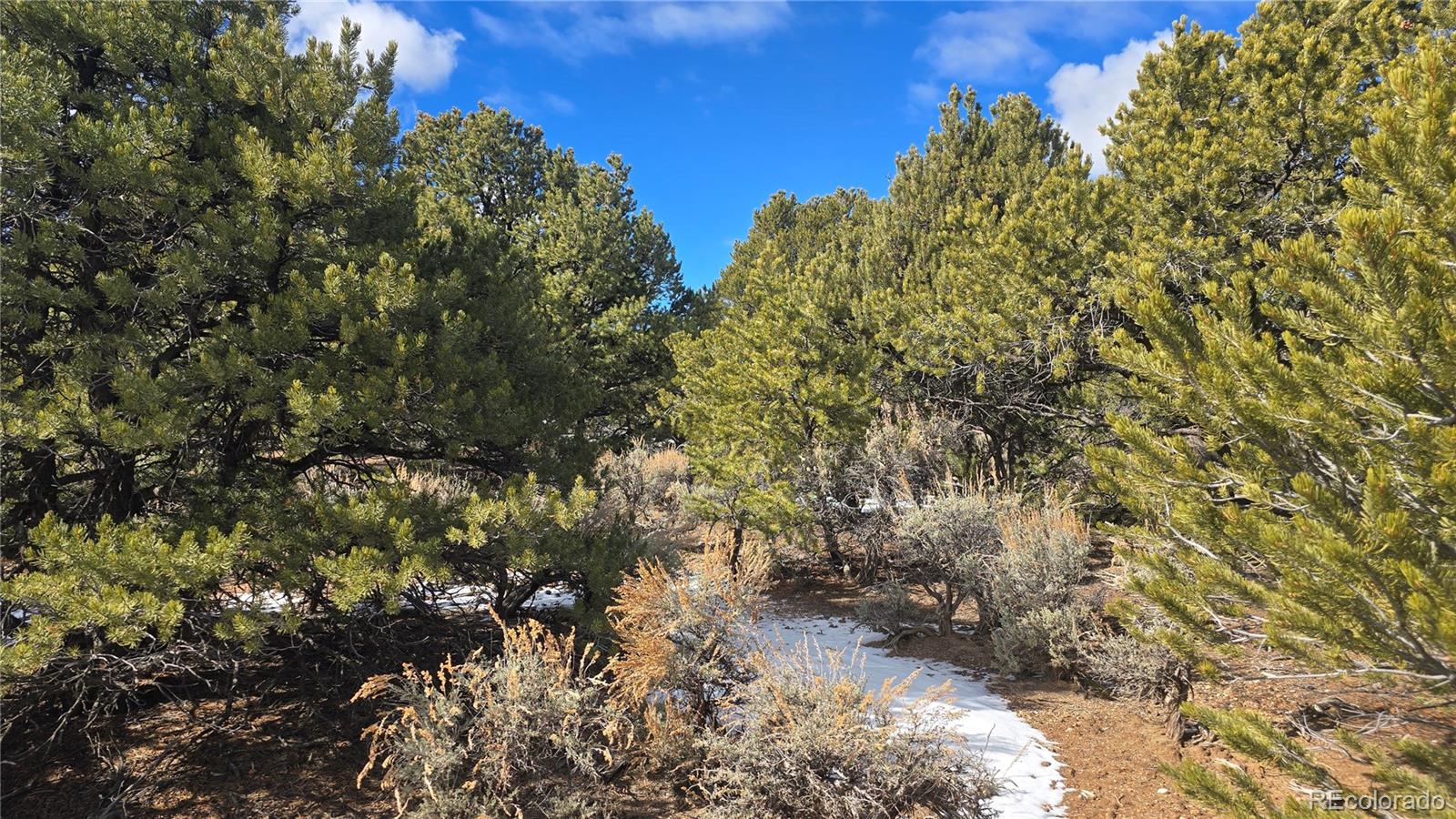 Lot 421 Sabine Road