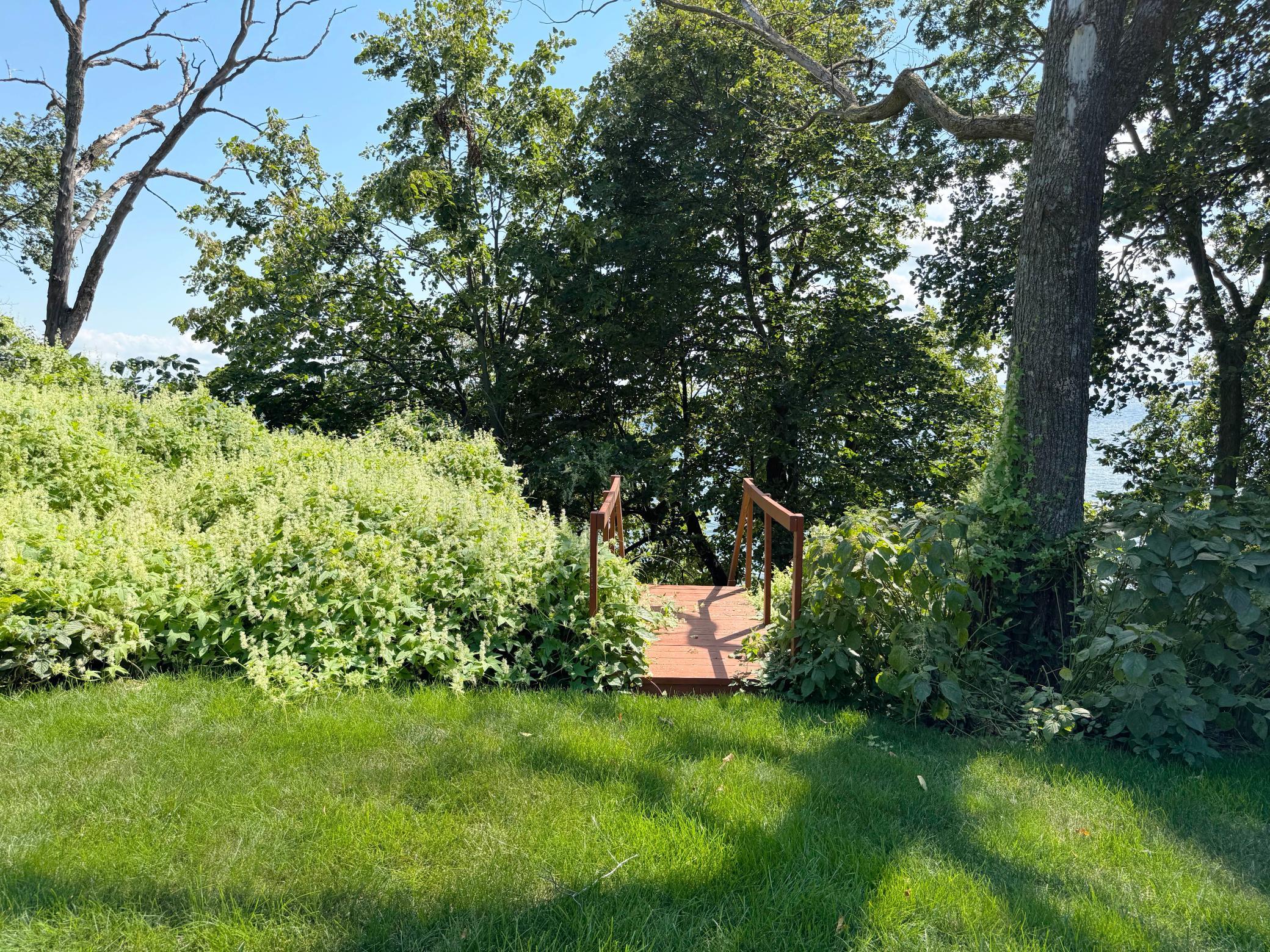 44205 Conifer Street