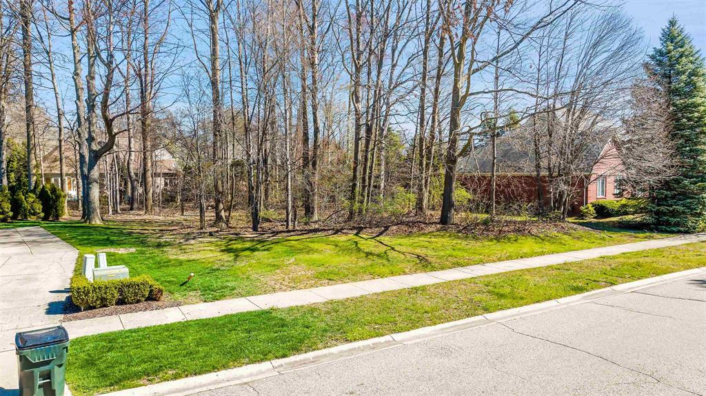 14173 Provim Forest
