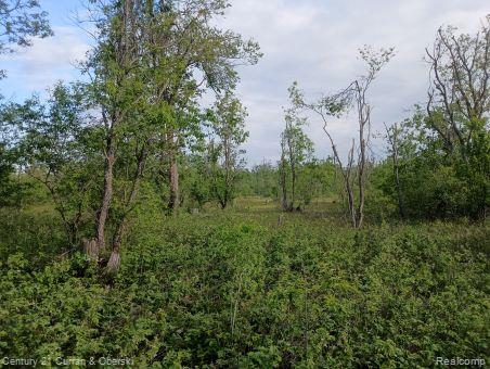 Excellent wooded 10 acre parcel in Chester Township. Ideal for cabin construction or hunting. Adjacent to extensive public land, making the area feel expansive. Dimensions: 165 feet wide, half-mile deep. Located minutes from Waters I-75 exit. Nature-rich northern Michigan getaway. Owner has installed ~50 t-posts along the boundaries so it's easy to identify.  The 4 corners are set with concrete.  Per seller, soil is sandy throughout, no appearance of any wetlands.  It is zoned Forest and the owner has confirmed with the county that it meets the requirements to build at least one residence, if not more.  Versatile tract offering 165 feet frontage and 2651 depth. Ten acres of surveyed forest land East of Gaylord. Frequent wildlife—turkey, deer, grouse. Ideal for homesteads, camping, or hunting. Owner financing available.