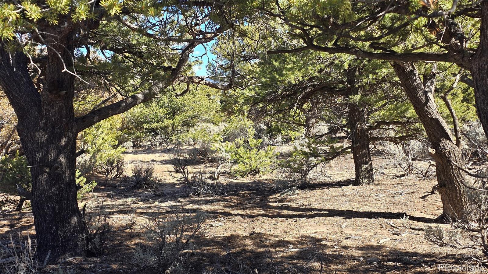 Lot 409 Williams Road