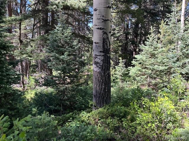 Lot 2893 Coder Place