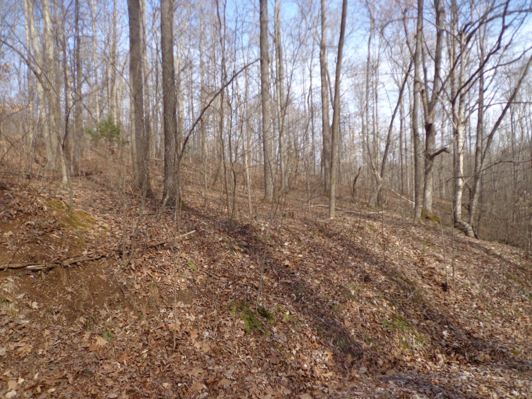0 Ennis Branch Road