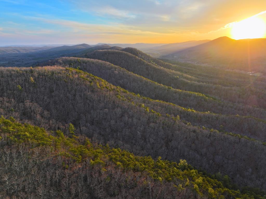 Tucked along the ridges of the Little Walker Mountain range, this 105.59+/- acre tract offers the ideal blend of seclusion, recreation, and raw mountain character, built for those who value experience over development and want a property they can enjoy from day one. A cleared campsite is positioned along an upper trail with seasonal views of the Big Walker Mountain ridgelines, creating a natural basecamp for weekends or extended stays, with the flexibility to use immediately or expand over time while maintaining the land's untouched feel. A defining feature is the spring-fed creek that winds through the holler, forming deep, clear pools that give the property a relaxing appeal; on warm days, you can step into these natural basins, cool off in crystal-clear water, and relax within a quiet corridor of wooded terrain with the land and trees rising around you. The land is fully wooded with a strong mix of mature oaks, maple, hemlock, and white pine, supporting excellent wildlife habitat with consistent deer, turkey, and bear sign, while the natural ridges and bowls help funnel movement across the property. Only one tract separates this acreage from the Jefferson National Forest, enhancing both privacy and long-term recreational value for hunting and outdoor use. Trails already run throughout the property, offering immediate usability with the ability to further open and improve the layout with additional clearing. The drive in to the property reinforces the rustic setting, passing rolling farmland, quiet pastures, and idyllic barns before climbing into the Little Walker Mountain range where the landscape shifts and seclusion takes over. For additional recreational opportunities, Little Walker Creek is just minutes away and offers relaxing smallmouth bass fishing and another dimension of outdoor enjoyment nearby. Contiguous tract also available for sale - see "6184 North Ridge Ln, Pulaski, VA" listing. Shown by appointment.