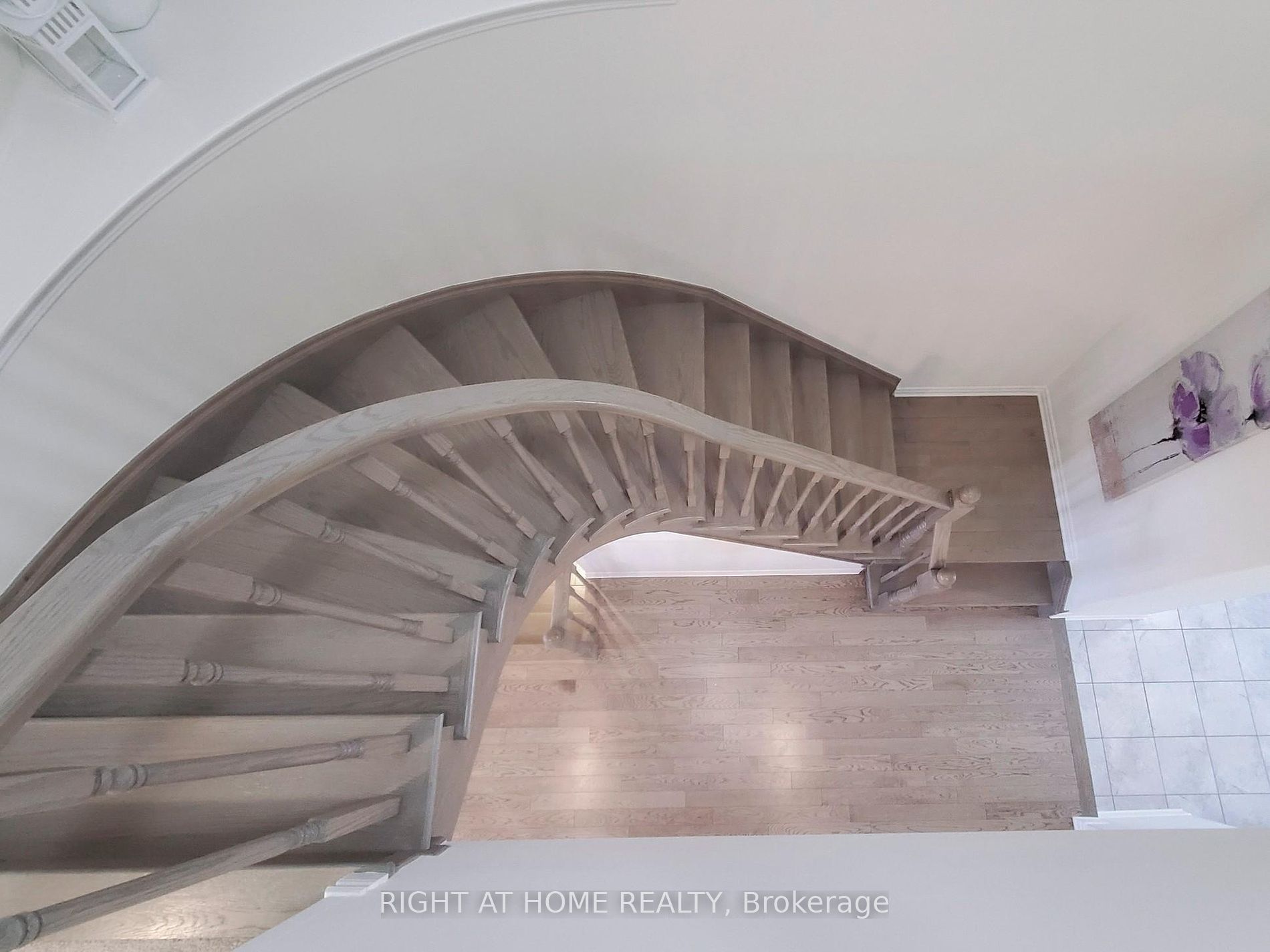 40 Celano Dr