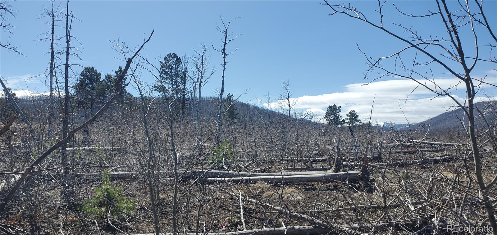 Lot 1667 Towey Place