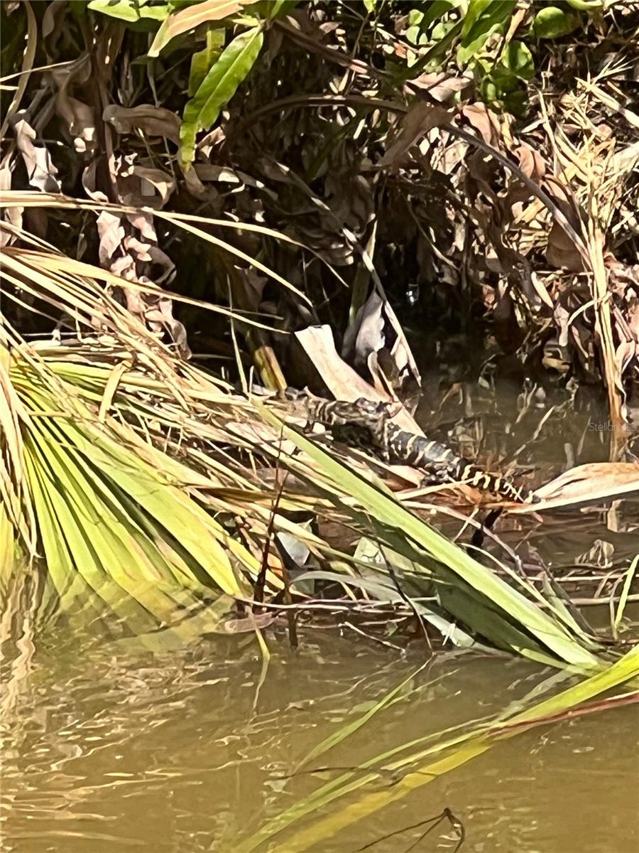 912 Piney Point Road