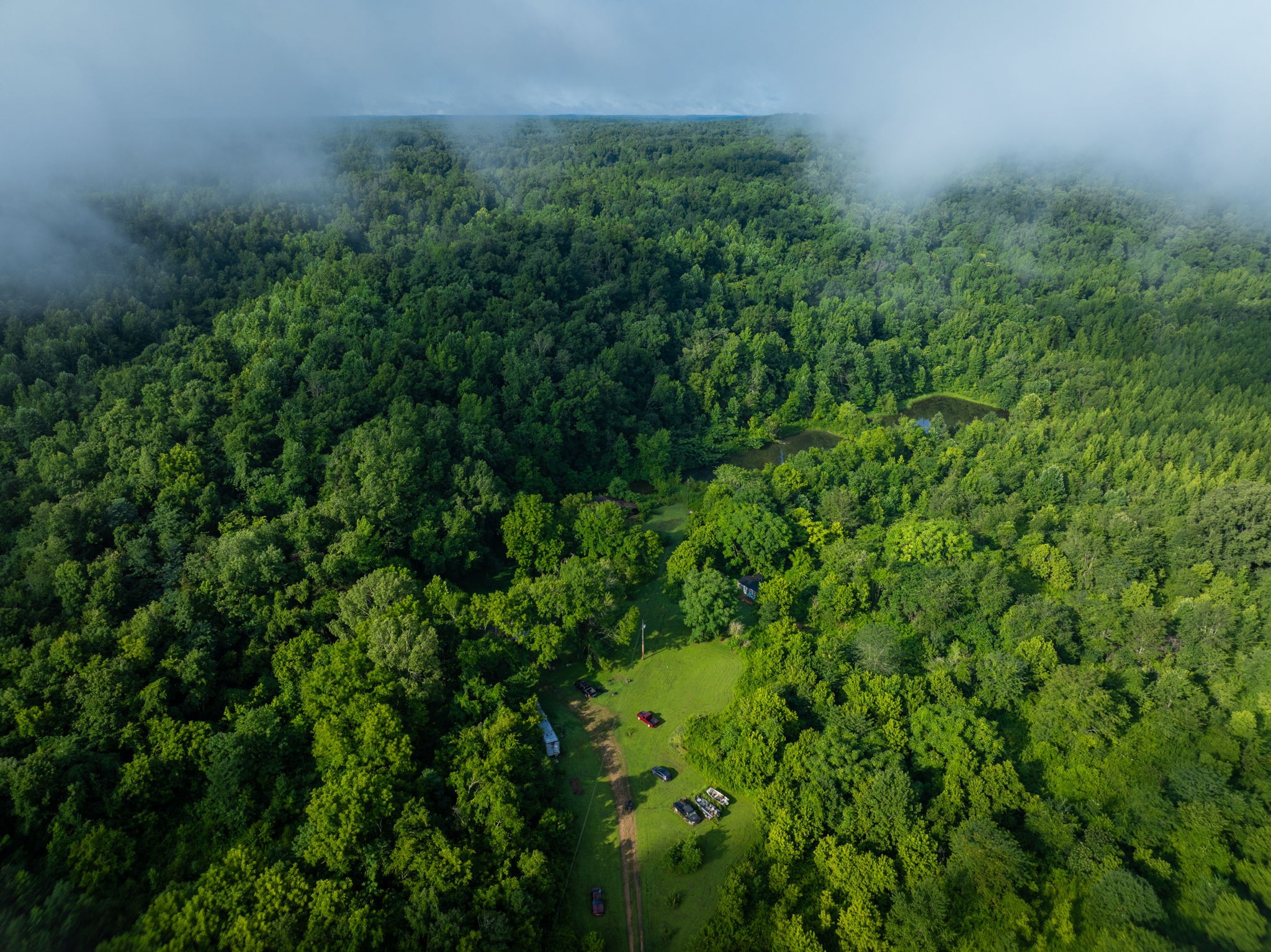 Discover the perfect blend of privacy, natural beauty, and opportunity with this incredible 150-acre property in Linden, Tennessee. Featuring three beautiful spring-fed ponds, this one-of-a-kind tract offers stunning views, abundant wildlife, and endless possibilities for a private estate, family retreat, hunting property, or future homesite.The property is already equipped with both a 2-bedroom septic system and a separate 1-bedroom septic system, providing added flexibility for multiple residences, guest cabins, or recreational use. With a mix of open land and wooded acreage, you'll have plenty of room to build, farm, hunt, fish, or simply enjoy the peaceful Tennessee countryside.Whether you're looking for a weekend getaway, a recreational paradise, or a place to build your dream home, this rare property offers the infrastructure and natural features that are hard to find. Conveniently located in Linden while still offering the privacy and tranquility of country living, this is a unique opportunity to own a truly special piece of Middle Tennessee.Schedule your private showing today and experience everything this exceptional property has to offer.