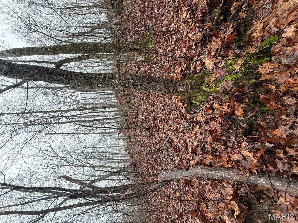 0 Peninsula Trail