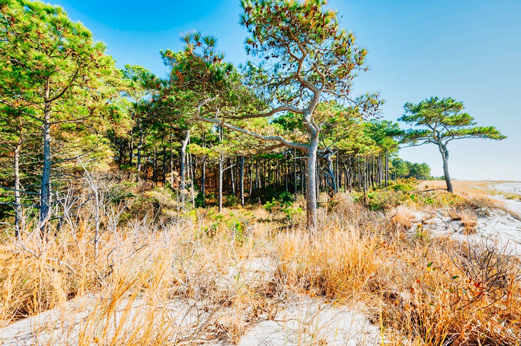 Lot # 2 Elliotts Creek Ln 2