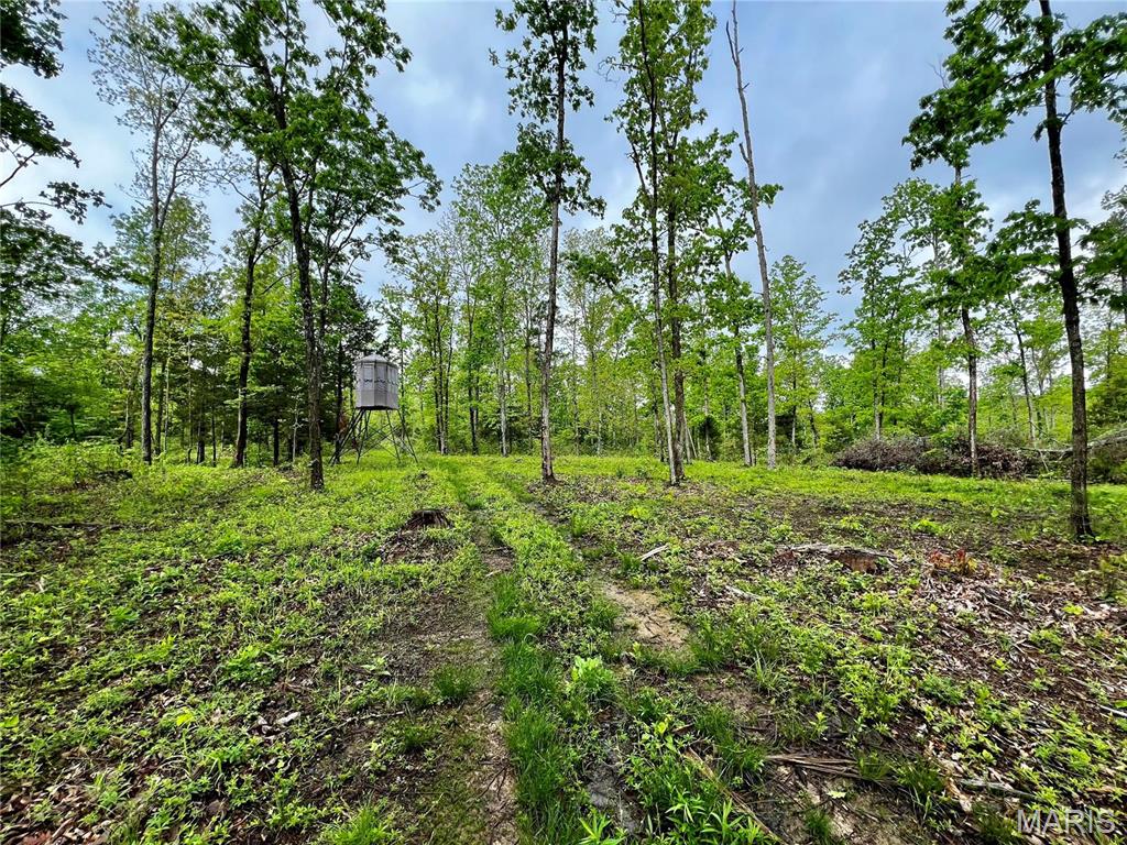 382 Furnace Creek Road