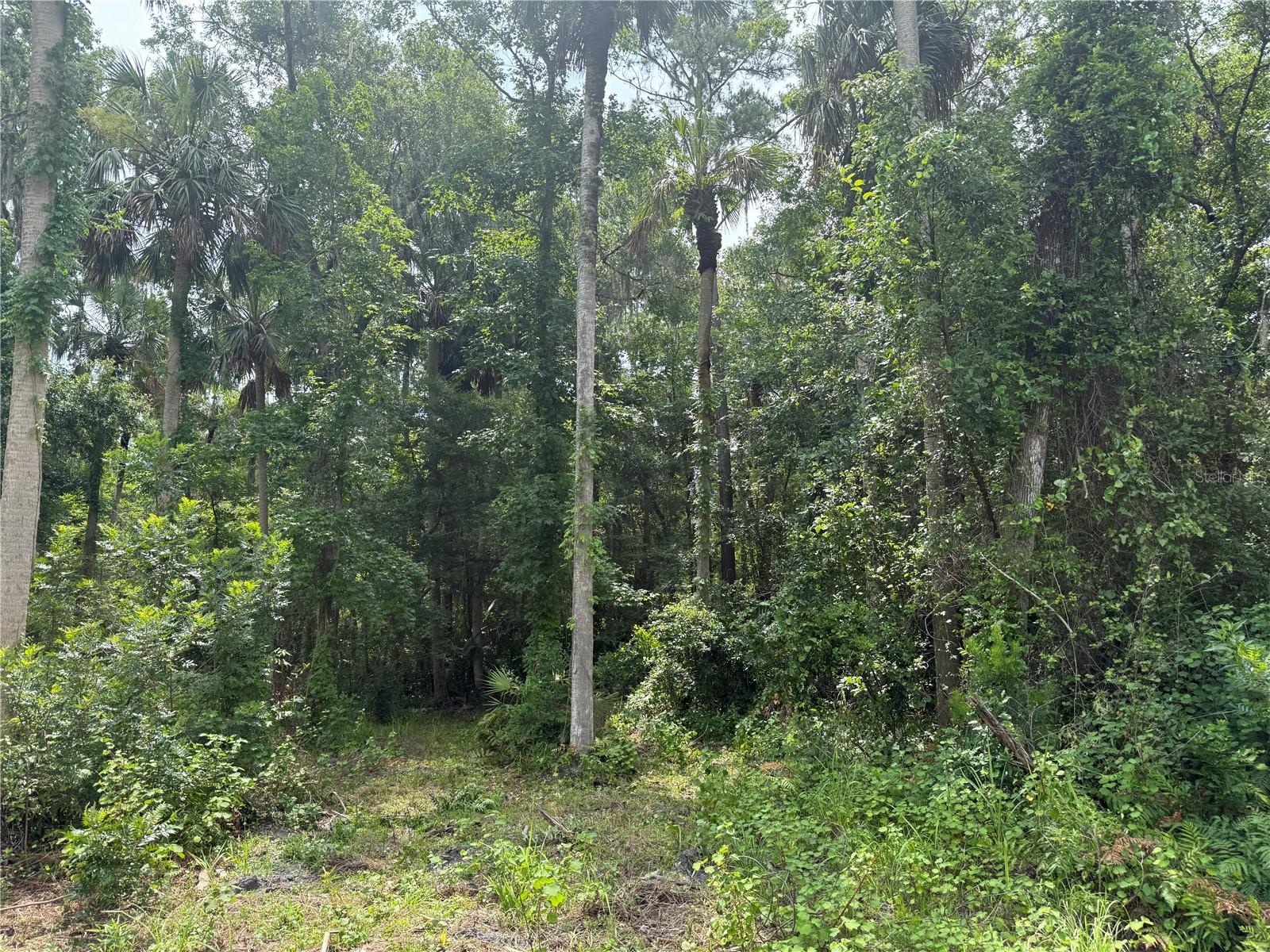 Okaloosa Trail