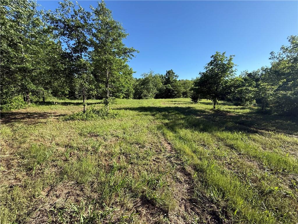 163xx E Panama Road